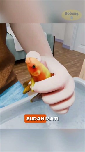 Goldfish facts