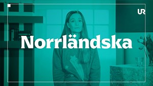 Norrländska