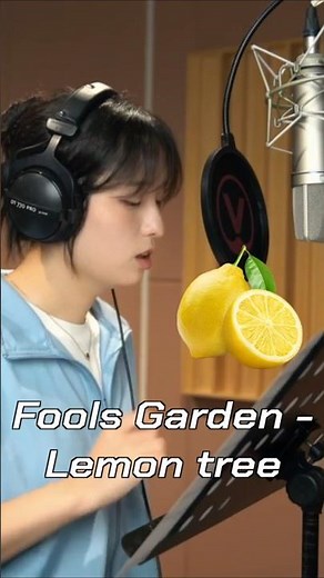 Fools Garden - Lemon tree cover #cover #커버 #lemontree #레몬트리