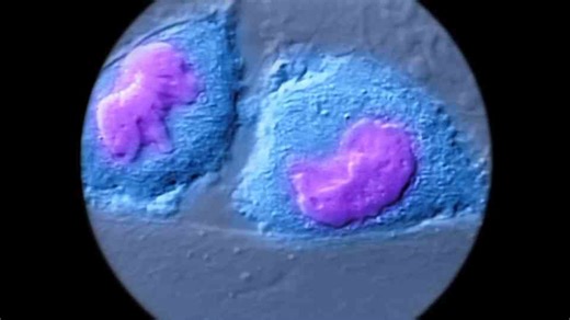 This is what your body’s molecular machines are doing every second