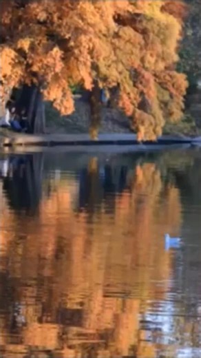 #christmas #classics #memes #voice #piano