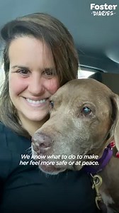 17-year-old dog wakes her foster dad up at 7 a.m. every morning asking to go for a walk ❤️️ | The Dodo