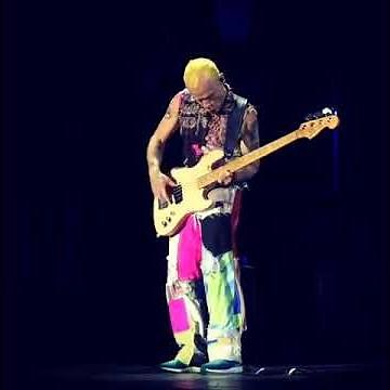 Red Hot Chili Peppers - Amazing Flea Bass Solo - Reading Festival 2016