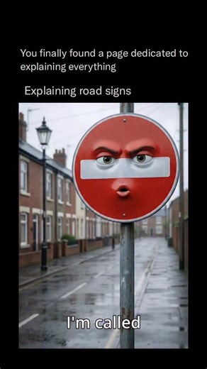 Explaining Our Human Body | Road signs are visual signals placed along roads to guide, warn, and inform drivers and pedestrians. They use clear symbols, shapes, and... | Instagram
