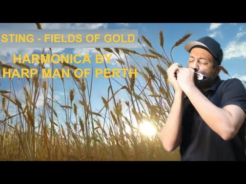 Sting - Fields of Gold (Harmonica cover)‪@theofficialsting‬ #sting #fieldsofgold #harpmanofperth