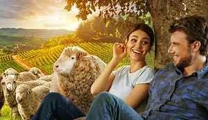 A Perfect Pairing (2022) - Filmonizirani