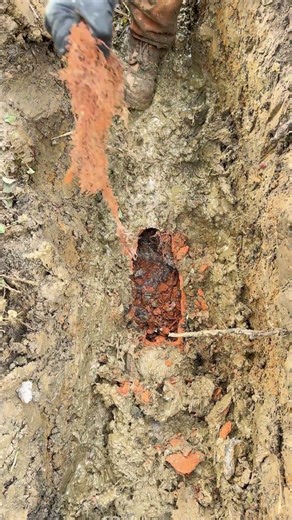 Sewer Line Excavation