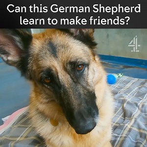 1.5M views · 7.7K reactions | It’s been seven months and Brooke is no closer to finding a home. | Channel 4 | Facebook