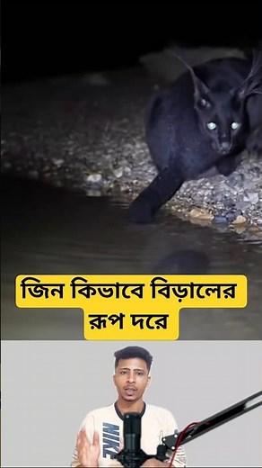 The Cat That Turned Into a Monster