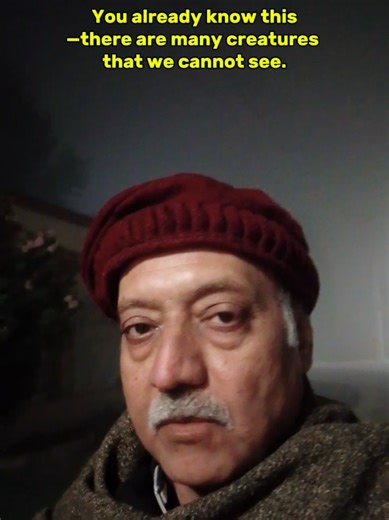 Trees and Nature: Understanding Hidden Emotions