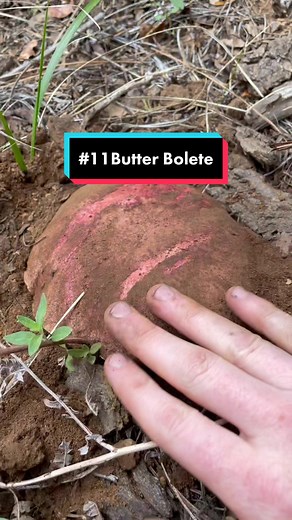 Dr. Gordon Walker (FunGuy) on TikTok