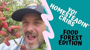 Inside Our Mature Hawaiian Permaculture Food Forest — 8 Years Growing!