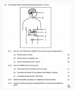 Endocrine Glands in Humans3.4 The diagram below represents en... | Filo