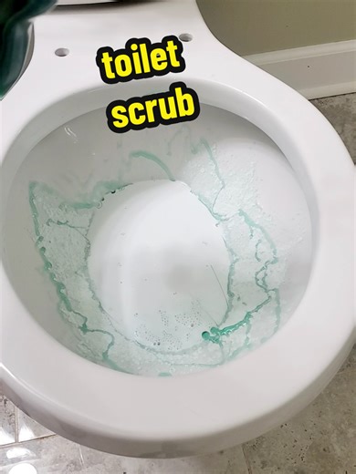 Effective Toilet Cleaning Tips and Techniques
