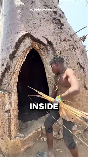 The REAL Reason They Carve Baobab Trees 🤯