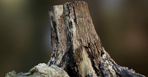 Epic Games Released RealityScan 1.0.3 for iOS