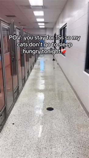 Every share helps us help them ❤️‍🩹 | Fuzzyslides