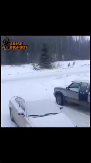 “The Witset Howls” (December 16th, 2017). These howls were recorded in Witset, British Columbia around 8:30 AM. You can hear 👂 how it sounds distinctly different from that of a wolf, bear,elk, fox, or puma. These guttural howls seem to have a unique tone and resonance of their own. It sounds like a Sasquatch. We will upload the leading, well respected experts in the field and let you hear their take on this particular vocalization. #pacificnorthwest #bigfoot #sasquatch #yeti #abominablesnowman 