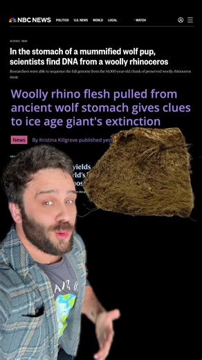 14,400 years ago a wolf puppy ate some woolly rhino meat. What did we learn from it? #learnontiktok #tiktoklearningcampaign #evolution #animals #iceage