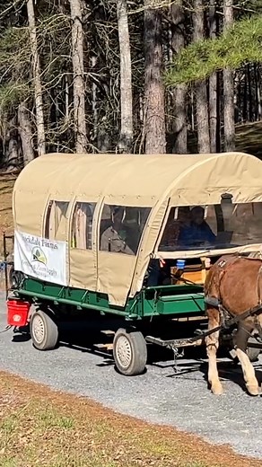 Sights and sounds of a wagon train | Rural Heritage Magazine