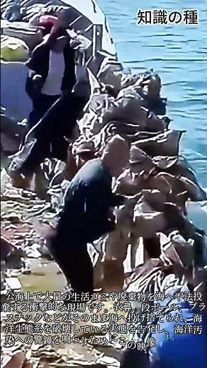 衝撃的な海洋廃棄物の不法投棄現場 #worker #process #environment #sea #illegal