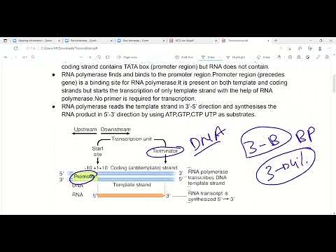 DNA Transcription | Molecular biology | Biochemistry | First aid lectures | Lec12 #transcription