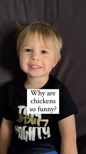 4.8M views · 15K reactions | The ONE that so many of you have asked for..  藍 #chickenjoke #chickens #chickenlady #toddlerjokes #dadjokes #lol #kidsarefunny #futurecomedian #mostrequested #youaskedforit | The Stevens Circus | Facebook