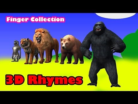 Dinosaurs Vs Godzilla Cartoons|| Lion Vs Tiger Finger Family Children Nursery Rhymes