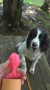 Germy Ballswell on Instagram: "Whistling booty blaster link in bio 💪 381.8 mph #3dprinting #cad #bambu #cannon #experiment #physics #science"