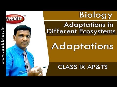 Adaptations : Adaptations in Different Ecosystems | Biology | Class 9 | AP&TS