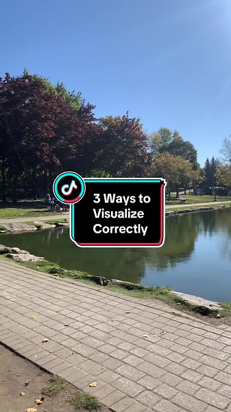 Here are three ways to visualzie correctly! #visualizationtips #MindsetMatters #visualizationformanifestation #themanifest7