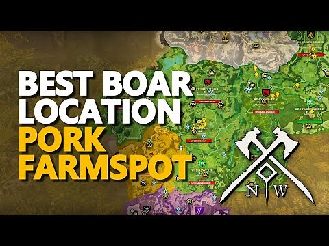 Best Boar Location New World Pork