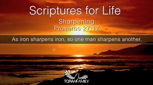 TorahFamily.org on Reels