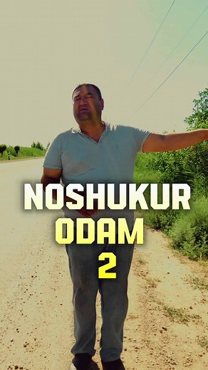 Noshukur Odam 2: Kulgili Holatlar va Prikolalar