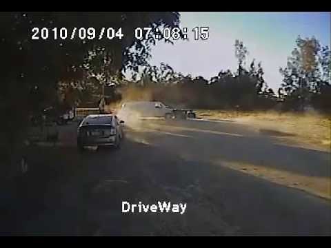 Rottweiler saves Chihuahua from Coyote attack! *Must see!*
