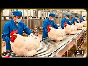 Inside the Fried Chicken Factory – How Everyday Chicken Turns Into Million-Dollar Gold 🍗💰