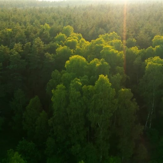 Power To X | Phoenix Contact ANZ