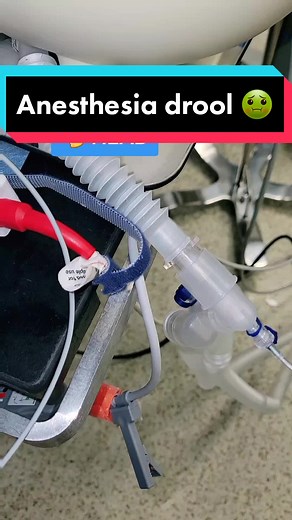 Understanding Anesthesia Drooling in Surgery