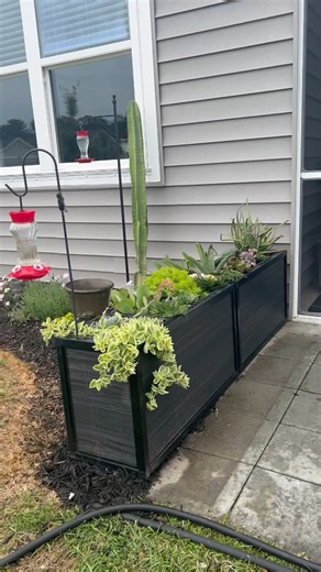 Watch Beautiful long box planter boxs. Inside or outside. Love these flower boxs  on Amazon Live