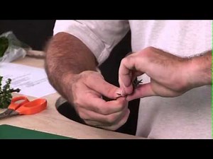 Making Pine Trees Using Plastic Armatures