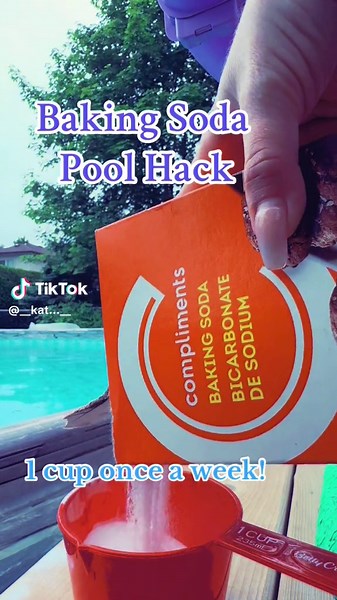 Best Pool Hack Ever! Clear Water All Summer Long