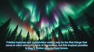 Discover the Flavors of Seychelles: Top 10 Spots for Food Lovers