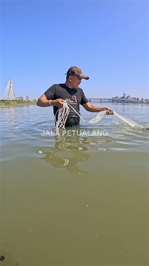 JALA IKAN BELANAK DAPAT BANYAK #SHORTS #JALAIKAN
