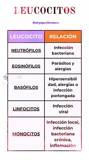 Tipos de Leucocitos y su Importancia en la Sangre