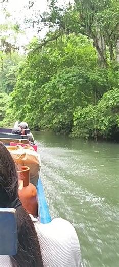 Videos de jose (@javer.dela.cruz) con “sonido original - jose”