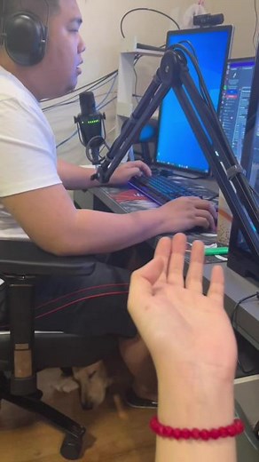 Engaging Live Stream Setup with a Dog Companion