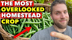 HOW TO GROW GREEN BEANS FROM SEED & GET A BOUNTIFUL HARVEST #gardening #homesteading | Tanner Farmstead