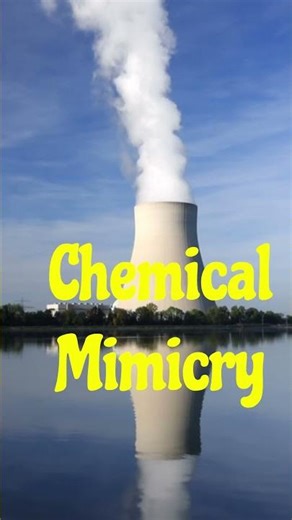 Is Our Food Supply Poisoned? (2026)#NuclearWaste #FoodSecurity #Bioaccumulation #Science2026