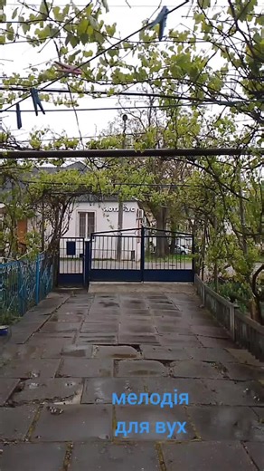 pikmi_Kirishima на TikTok