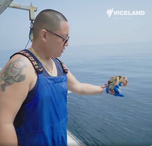 82K views · 195 reactions | Eddie learns there's no shame in throwing...